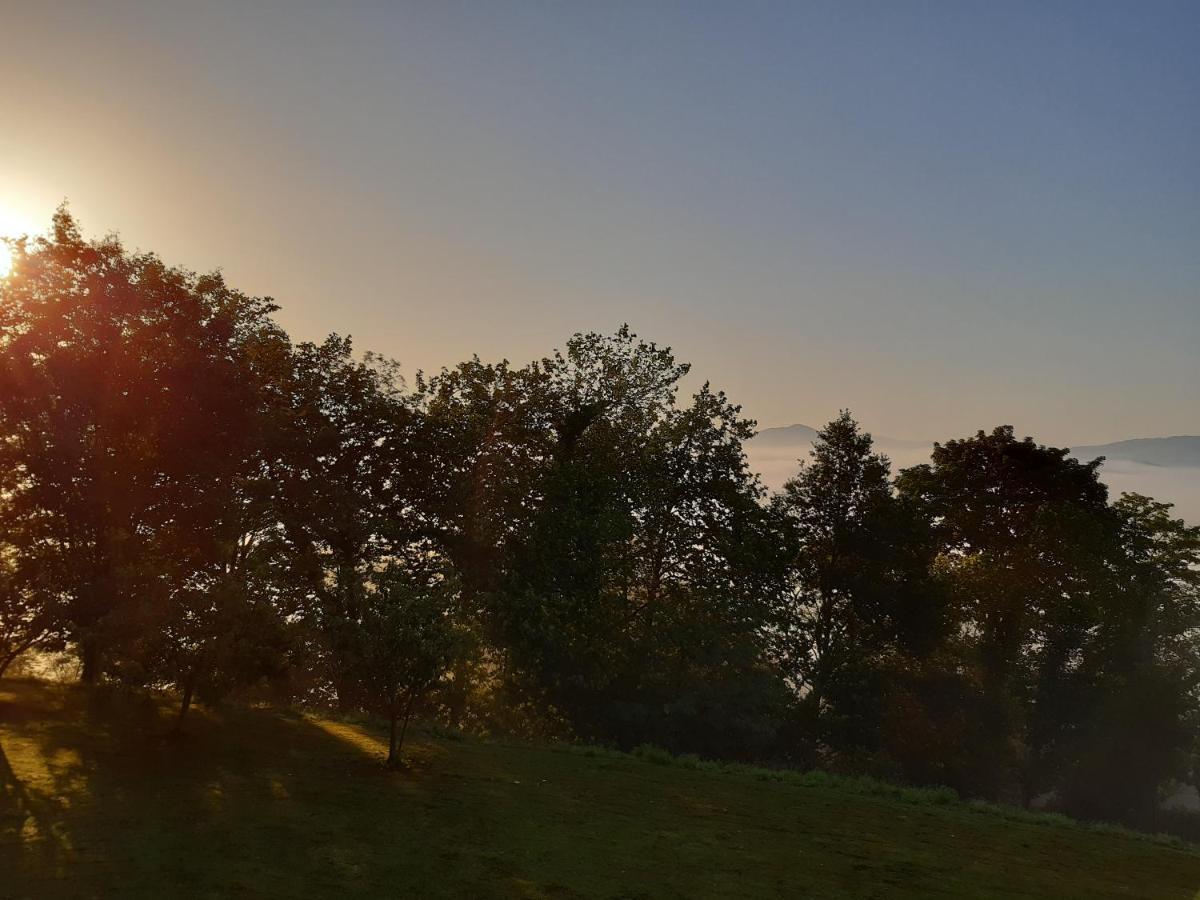 B&B Eguzkitza Elgeta Kültér fotó
